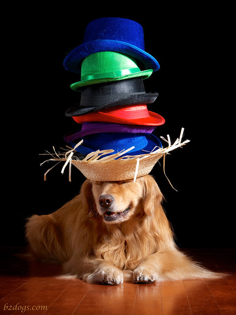 Stack of Hats