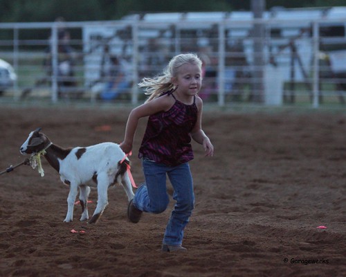 horse girl sport female race all child sony barrel sigma august jr rope rodeo cans cowgirl f28 welch 70200mm roping 2014 barrelracing views50 views100 slta77v