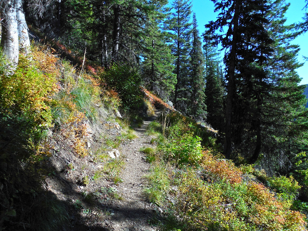 Terrace Lake trail, Cube Iron - Silcox Roadless Area, western Montana