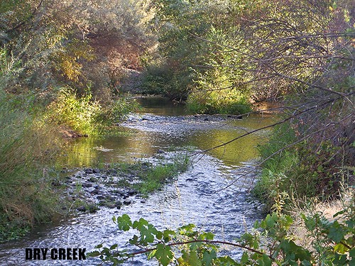 nature creek landscape roseville