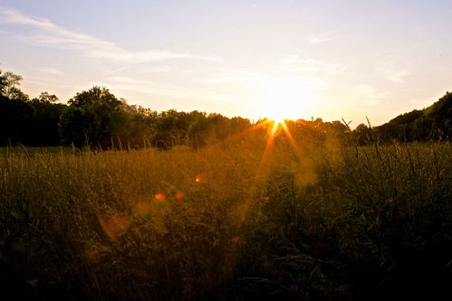 sunset grass lensflare westcampus canonef24105mmf4lis middletownva