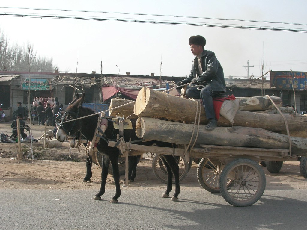 Kashgar - The other face of China - Alvinology