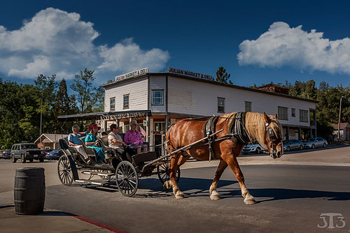 california trees horse usa clouds julian carriage ride sandiego market tourist