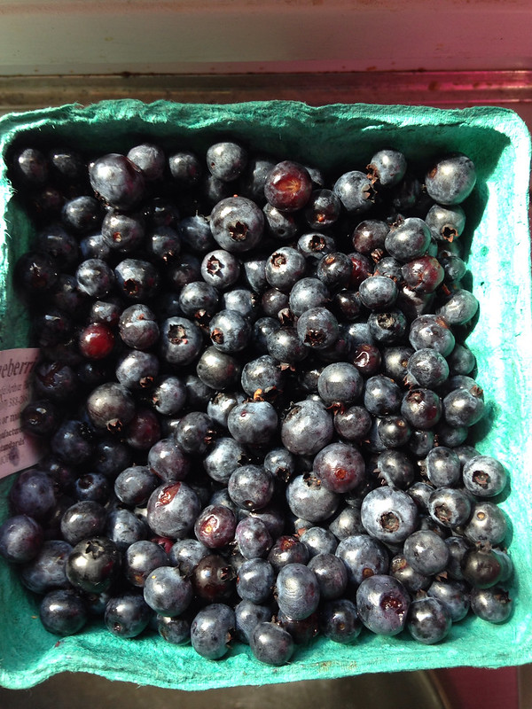 Wild Maine blueberries