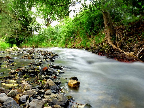 nature water stream brook