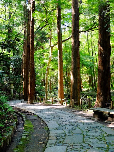 japan forest temple narita fujix100s