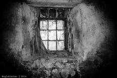 Abandoned Asylum - XXXIV