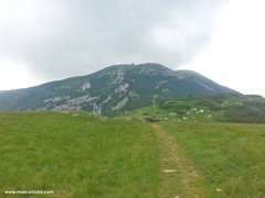 Sul Monte Altissimo (2078m) dal versante di Nago (7/7/2014)