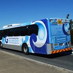 Bus Queensland - Park Ridge Transit