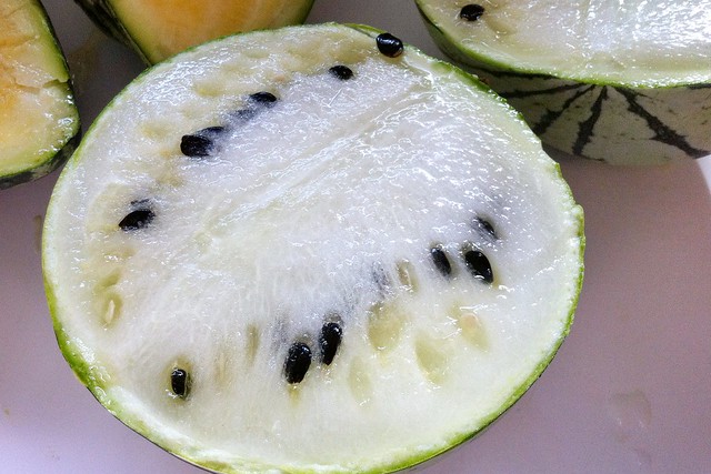 White Sugar Lump Melon