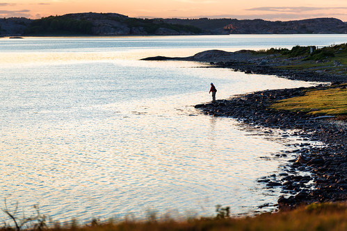 sunset sea summer beach coast cow fishing sweden ko sverige trout bohuslän västkusten fjällbacka västragötalandslän veddö långesjö