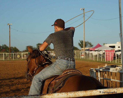 boy horse male sport race cowboy all child sony barrel sigma august jr rope rodeo cans welch roping 2014 50500mm barrelracing views50 views100 f4563 slta77v
