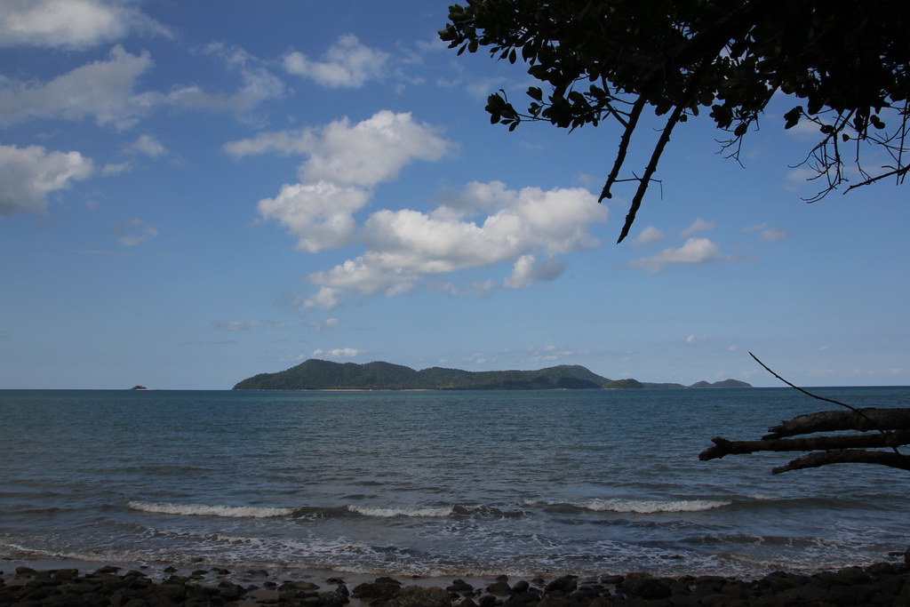 mission beach, ecoviilage resort, dunk island, licuala state forest, clump point, golden orb spider, lugger bay, cassowary, kennedy walking track