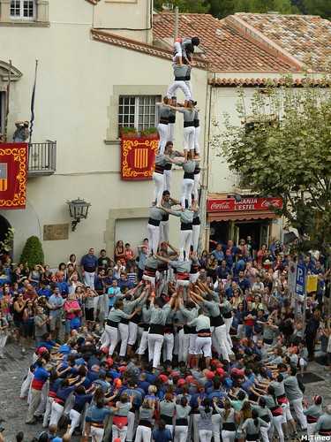 Diada de Festa Major d'Esplugues, 2014