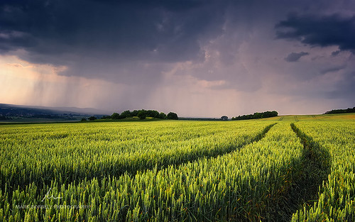 summer cloud storm green nature rain clouds landscape hungary wheat stormy rainy magyar magyarország pannonhalma