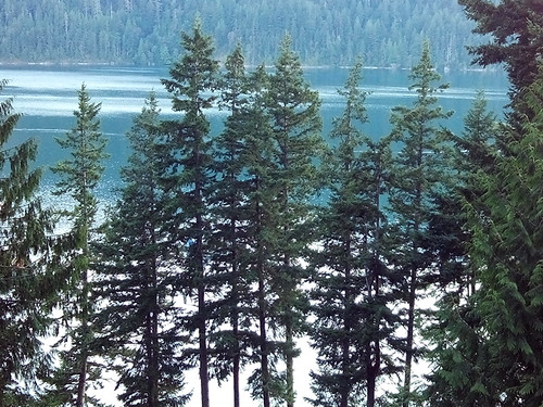 blue trees lake beautiful cabin view quilcene