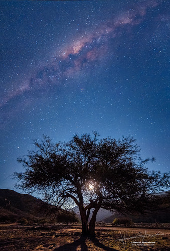 chile moon tree canon stars arbol luna via estrellas astronomia starry milkyway elqui lactea 60da