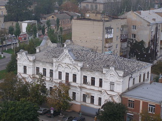 Pigeons on Roof