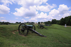 Canons looking over the battlefield