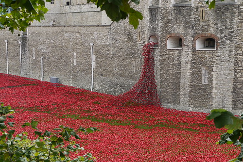 Poppies in the Moat at Tower Bridge