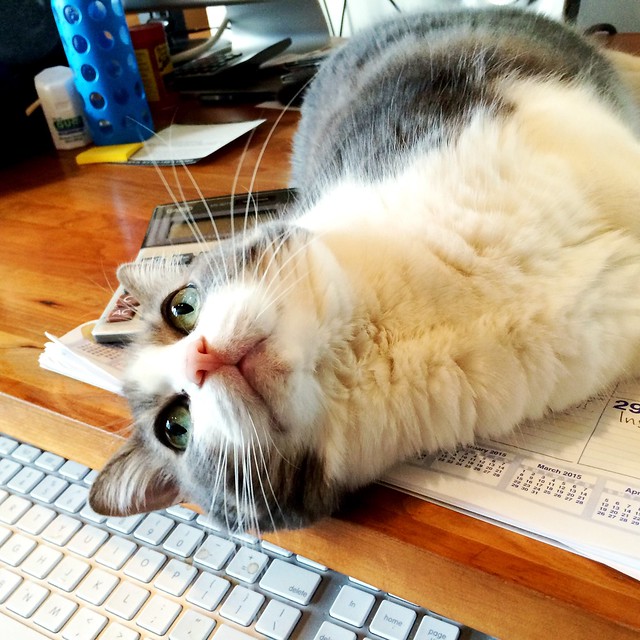 Oh You wanted to work at your desk