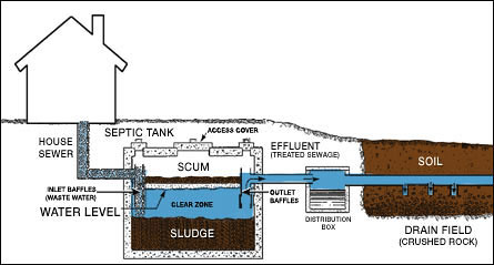 septic-diagram2