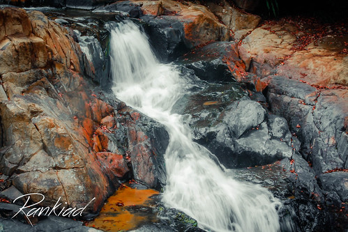 winter nature water leaves agua rocks stream panama cascade rocas cascada