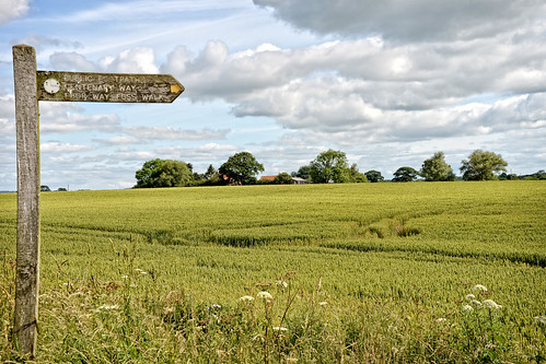 flowers roof sky field sign clouds farmhouse countryside nikon yorkshire roofs crops signpost d610 on1photos
