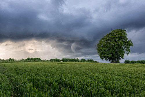 summer storm tree clouds landscape nikon stormy cotswolds nikkor warwickshire d610 illmington 1635mmf4 jactoll nikonfxshowcase