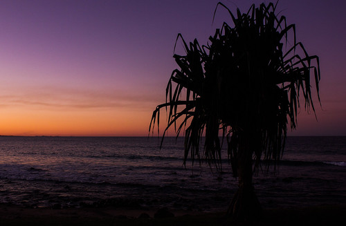 sunset seascape australia pandanus burleighheads allieca