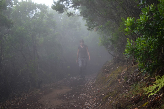 Andy in Garajonay rainforest, La Gomera