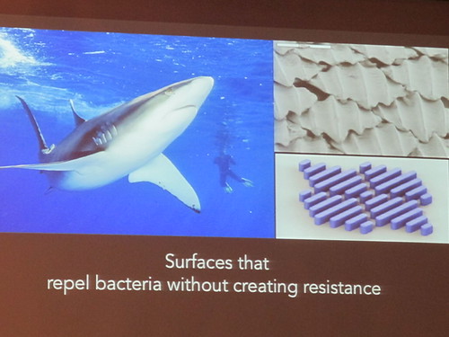 2014仿生科技國際論壇-鯊魚皮膚表面構造可抗菌