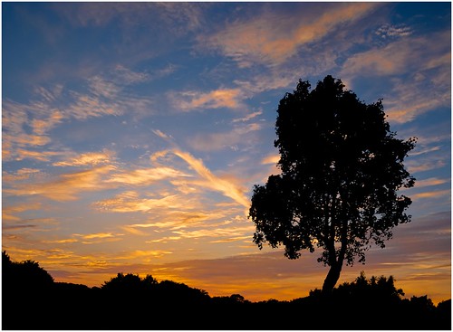 sunset summer england tree silhouette clouds kent nikon ultrawide sigma1020 d7100 bearstedgolfcourse lightroom55