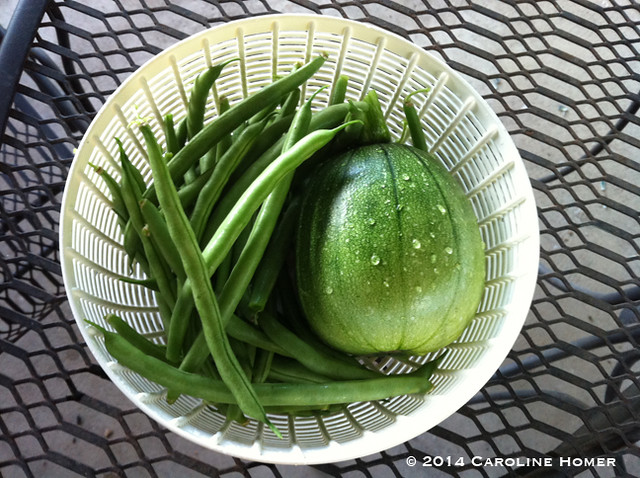 green beans and squash