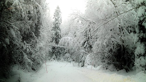 road winter snow sweden uppland