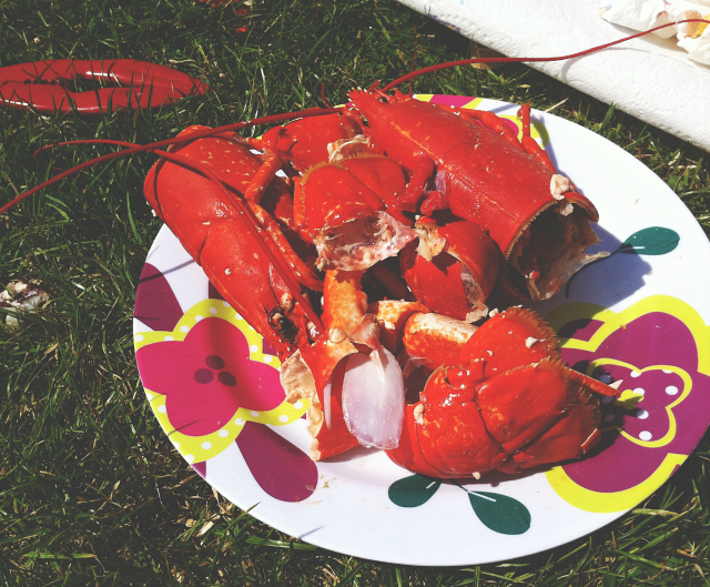 16 vivatramp lifestyle food book blog uk lobster