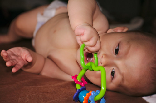 嬰兒容易受到內分泌干擾素影響。