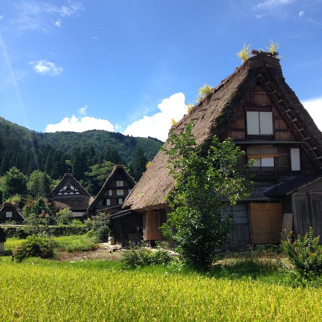 Preciosas las casas tradicionales o gassho-zukuri de Shirakawa-go