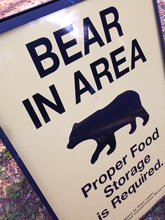 Bear in area.