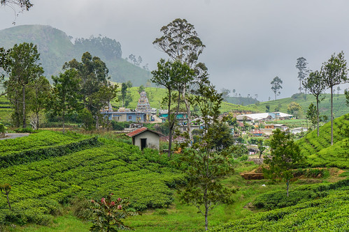 bandarawela liptonseat srilanka mountain teaplantation
