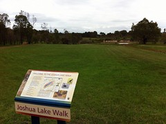 Joshua Lake Walk: Start
