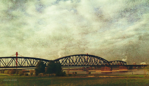 bridge river germany landscape rhine textured flypaper