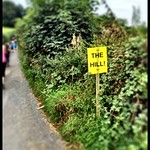 The inaugural Severn Bridge Half Marathon #severnbridgehalf #running