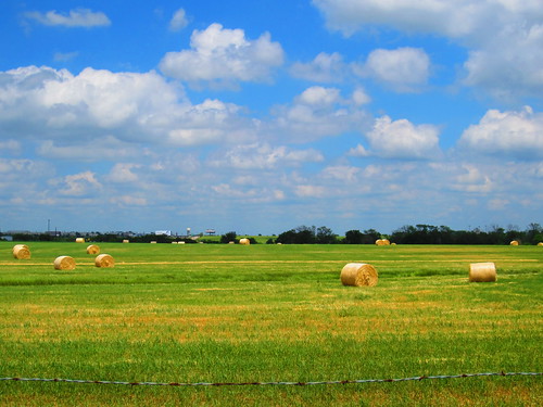 city grass clouds farm fields royse