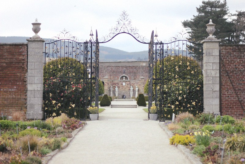 iron garden gate