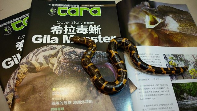 10402611_67580台灣兩棲爬蟲協會，TARA期刊，2014夏季號