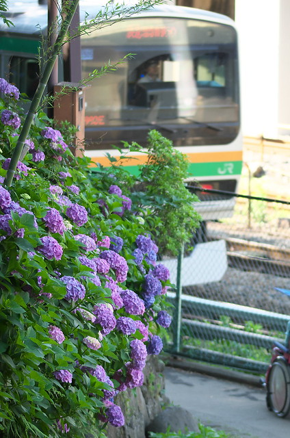 Tokyo Train Story 湘南新宿ライン 2014年6月15日