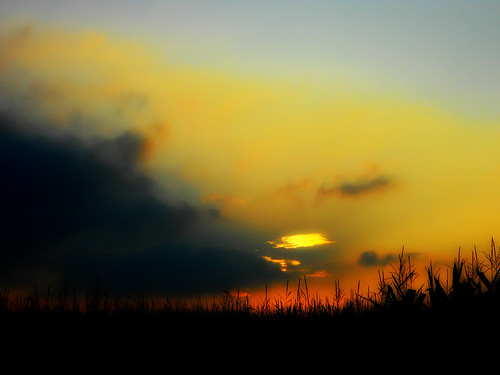 sunset sky españa sun sol clouds atardecer spain cornfield cielo nubes cantabria zurita maizal piélagos campodemaíz