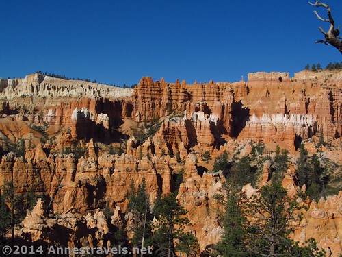View from the Queens Garden Trail, Bryce Canyon National Park, Utah
