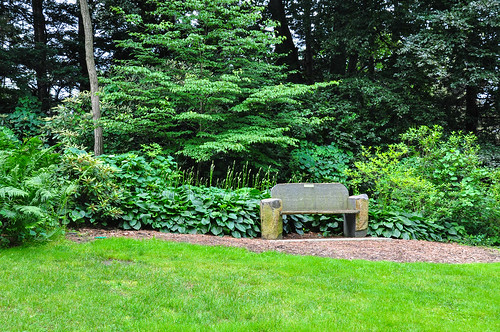 trees summer reflection garden bench landscape photo nikon photos michigan unlimited midland d90 dowgardens unlimitedphotos